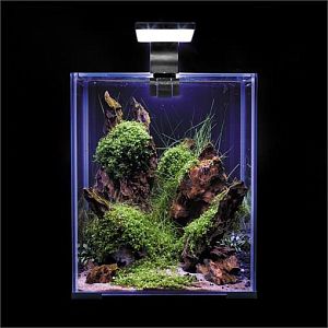 Cветильник Aquael LEDDY SMART 4.8W SUNNY DAY&NIGHT черный, 4,8&nbsp;Вт