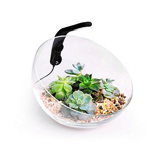 Декоративный аквариумный набор AquaLighter Wabi Set