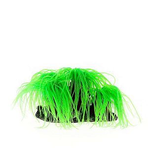 Коралл VITALITY мягкий, пластик, зеленый, 14х11&times;9&nbsp;см