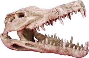 Декор Prime «Череп крокодила», пластик, 250х112×152 мм