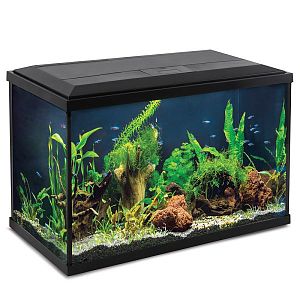 Аквариум Laguna Breeze, черный, 37,8&nbsp;л, 510х256&times;325&nbsp;мм