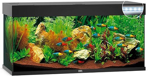 Аквариум JUWEL Rio 240 LED прямоугольный с оборудованием, 240л, черный, 1210*410*550мм