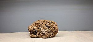 Декорация природная Prime Сетчатый камень М&nbsp;20&minus;25&nbsp;см, 2000&minus;4000г, цена за&nbsp;1&nbsp;шт.