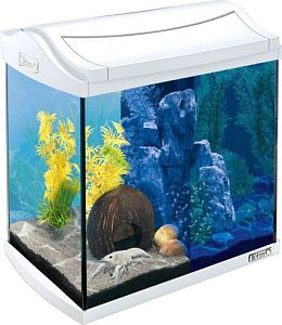 Аквариум Tetra AquaArt Discovery LED Cray белый, 30 л, 39×27,5×42 см
