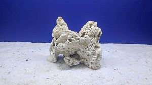 Камень сухой рифовый L, 15&times;20&nbsp;см, 800&minus;1200&nbsp;г