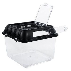 Контейнер Repti-Zoo для содержания и разведения рептилий, 200х200×170 мм