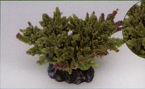 Коралл VITALITY мягкий, пластик, зеленый, 14×11,5×6,5 см