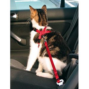 Автомобильный ремень безопасности TRIXIE для кошки, 20−50 см