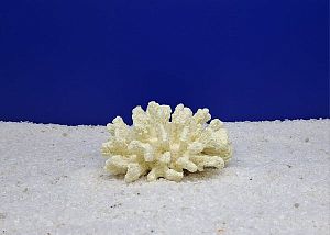 Кр-1500 Коралл Брокколи Белый, 14х13×7 см