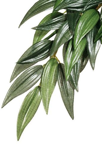 Тропическое растение Exo Terra Jungle Plants Рускус, среднее, пластиковое, 55х25 см