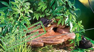 Люминесцентная лампа с УФ Exo Terra Repti Glo 5.0 для тропических террариумов, 40 Вт, 105 см