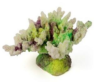 Кс-247&nbsp;Коралл корона (зелёный), 13*10*6,5&nbsp;см