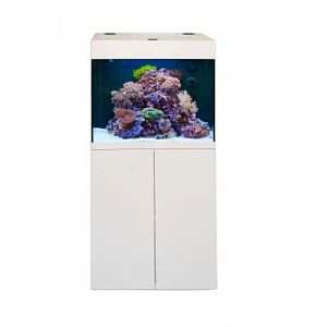 Aqua Medic «Kauderni» аквариум нанорифовый с тумбой, белый, 200 л