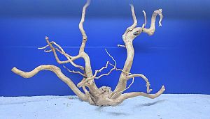 Коряга Сакура L, 40&minus;50&nbsp;см