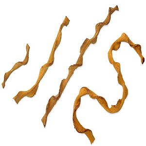 Лиана пластиковая Repti Planet для террариума, 30 см