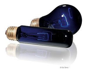 Exo Terra NIGHT HEAT LAMP A10&nbsp;Moonlight лампа лунного света для террариума, 25&nbsp;Вт