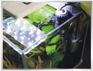 Нагреватель SunSun JRB-250&nbsp;с&nbsp;терморегулятором, 500&nbsp;Вт