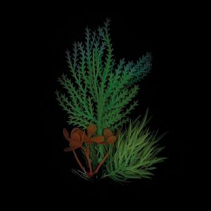 Композиция из&nbsp;светящихся растений Laguna, бирюзовая, 120&nbsp;мм