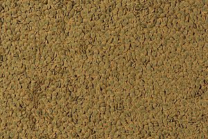 TetraPleco Wafer основной корм для сомиков и&nbsp;&laquo;водорослеедов&raquo; со&nbsp;спирулиной, пластинки 250&nbsp;мл