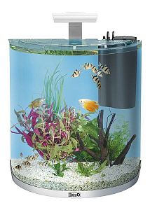 Аквариум дуговой Tetra AquaArt Explorer Line LED Tropical белый, 60 л