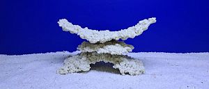 Камень Рифовый Белый, 29х13&times;15&nbsp;см