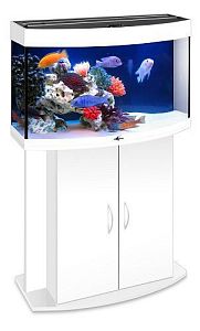 Морской аквариум с&nbsp;тумбой STELLEX AQUA 100, 100&nbsp;л, 71х36&times;126&nbsp;см