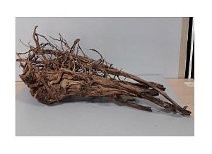 PRIME Коряга Чечил XS&nbsp;50&minus;80см