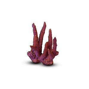 Коралл Коралловый пальчик Темно-фиолетовый 13,5х14×11,5 см