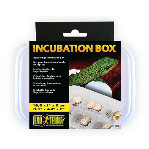 Контейнер EXO TERRA Incubation Box для инкубации яиц