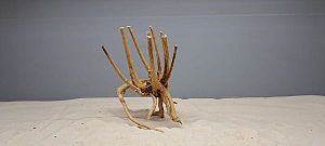 Коряга Сакура S, 15&minus;25&nbsp;см