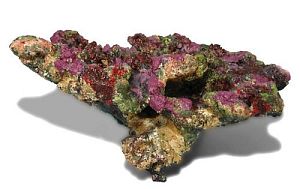 ATSi «Live rock Replica» №21 камень пластиковый, 48х32×25 см