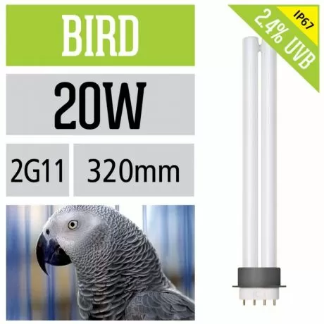 Лампа полноспектральная Arcadia Bird Lamp 2,4% UVB, 2G11, 24 Вт Лампа полноспектральная Arcadia Bird Lamp 2,4% UVB, 2G11, 24 Вт