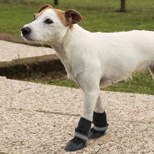 Обувь Ferplast DOG PROTECTIVE SHOES для собак