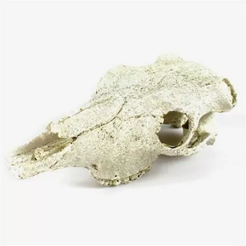 Декорация Nomoy Pet "Череп бизона", 21х7.5 см