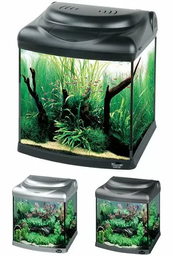Аквариум Hailea с гнутым передним стеклом+фильтр RP-200, 30 л, черный