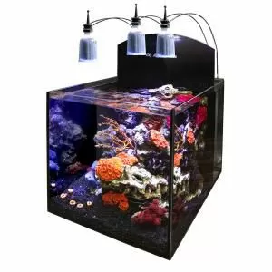Aqua Medic "Yasha advanced" Аквариум нанорифовый без тумбы, 33,5 л Aqua Medic "Yasha advanced" Аквариум нанорифовый без тумбы, 33,5 л