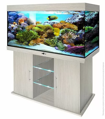 Аквариум Biodesign АТОЛЛ 400, без светильника, 370 л, 131х51х68 см Аквариум Biodesign АТОЛЛ 400, без светильника, 370 л, 131х51х68 см