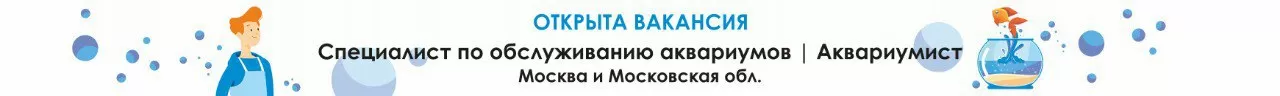 Вакансия - специалист по обслуживанию аквариумов