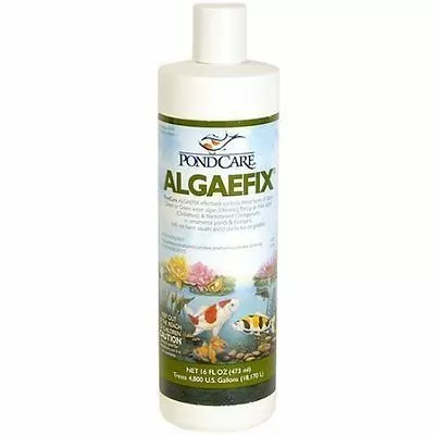 Средство API PC Algae Fix для борьбы с водорослями в декоративных прудах, 237 мл