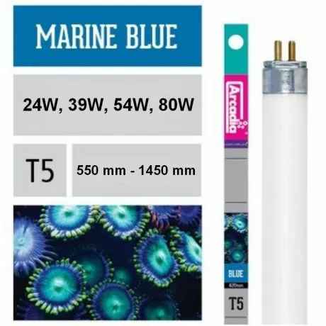 Лампа флуоресцентная Arcadia Т5 Marine Blue 420 Actinic 80 Вт, 1450 мм Лампа флуоресцентная Arcadia Т5 Marine Blue 420 Actinic 80 Вт, 1450 мм