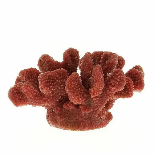 Коралл VITALITY мягкий, пластик, перламутр, 19x13x10,5 см Коралл VITALITY мягкий, пластик, перламутр, 19x13x10,5 см