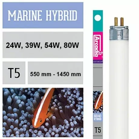 Лампа флуоресцентная Arcadia Т5 Marine Hybrid 60/40 80 Вт, 1450 мм Лампа флуоресцентная Arcadia Т5 Marine Hybrid 60/40 80 Вт, 1450 мм