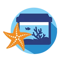 Оформление аквариума