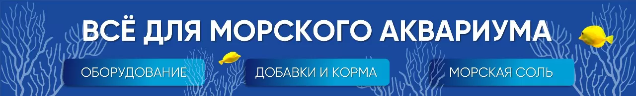 Аквариумное оборудование: аквариумный интернет-магазин STELLEX AQUA