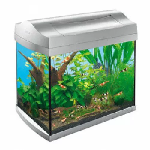 Аквариум для креветок Tetra AquaArt Shrimps Discover Line 20 л, 38х26х34 см