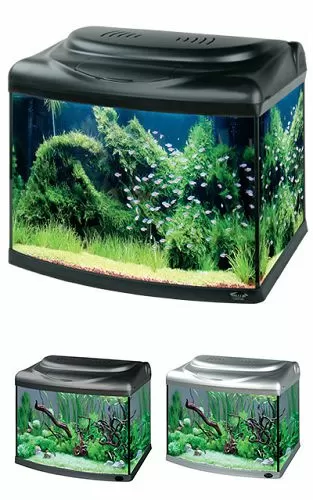 Аквариум Hailea с гнутым передним стеклом+ фильтр RP-400, 60 л, черный