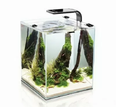 Aquael Shrimp Set SMART 10 аквариум черный, 10 л