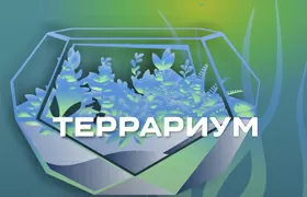 Террариумы ВС