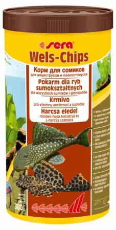 Основной корм Sera WELS CHIPS для придонных рыб, чипсы 1000 мл Основной корм Sera WELS CHIPS для придонных рыб, чипсы 1000 мл
