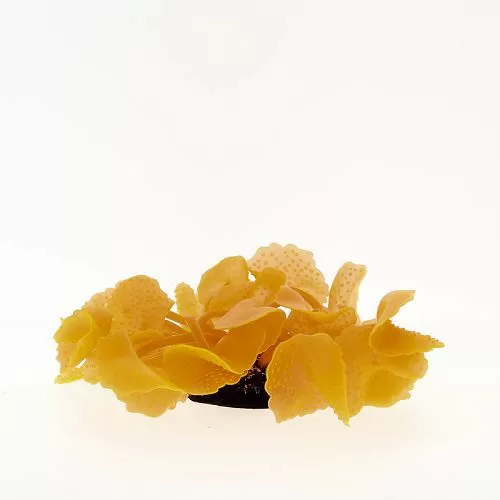 Коралл VITALITY силикон, красный, 5,5х5,5х12 см